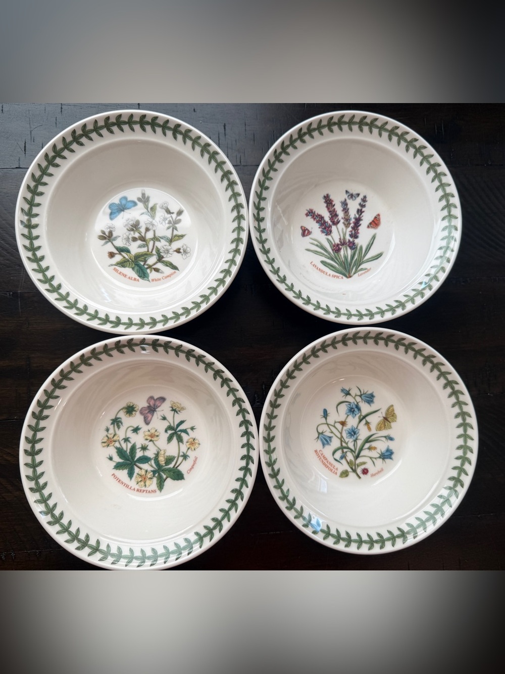 NWT Portmeirion Botanic Garden Oatmeal/ Soup Bowls w/Green Leaf Border Set of 4